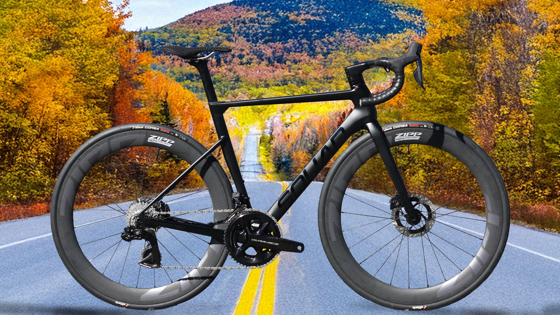 FANTOM - ROVE - force